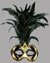 Small image #1 for Galetto Colombina scacchi bianco nero piume nere - Venetian Mask